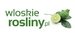 Włoskie rośliny