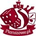 Planszowe.pl