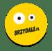 Brzydale