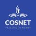 Cosnet