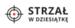 Strzał w dziesiątkę
