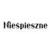 Wydawnictwo Nieśpieszne