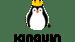 Kinguin