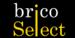 BricoSelect