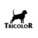 Tricolor
